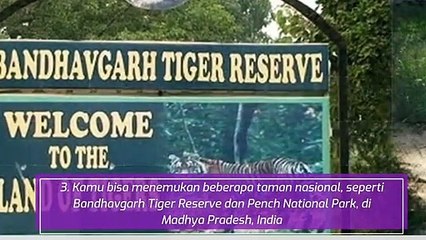 10 Tempat Wisata Terbaik di Dunia, Indonesia Nomor Satu Lho!