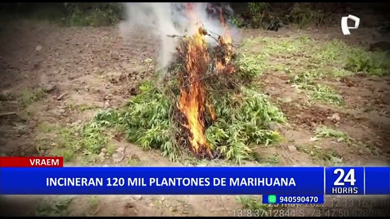 Satipo: capturan a extranjeros con armas de fuego y 60 municiones al interior de night club