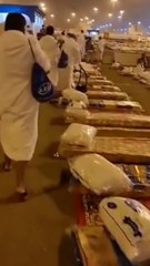 لبيك اللهم لبيك