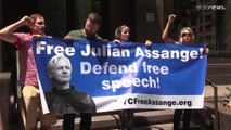 Fellebbez a brit kiadatási döntés ellen Julian Assange