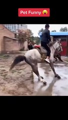 Best New Video | Funny Video 2022 | Funny Tik Tok Video | #shorts | Tik Tok