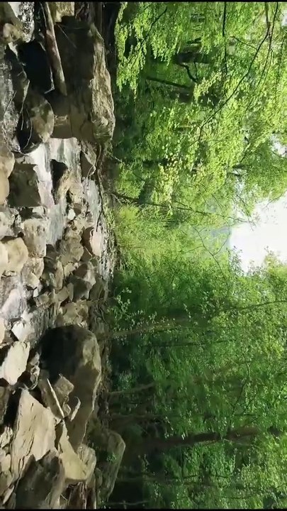 Short Nature Videos 30 seconds - Nature Whatsapp Status full screen #shorts