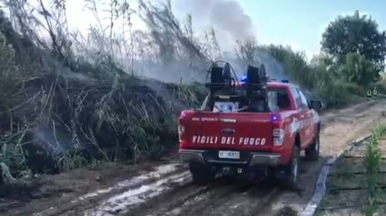 Fermo, incendio di sterpaglie a San Marco delle Paludi (18.06.22)