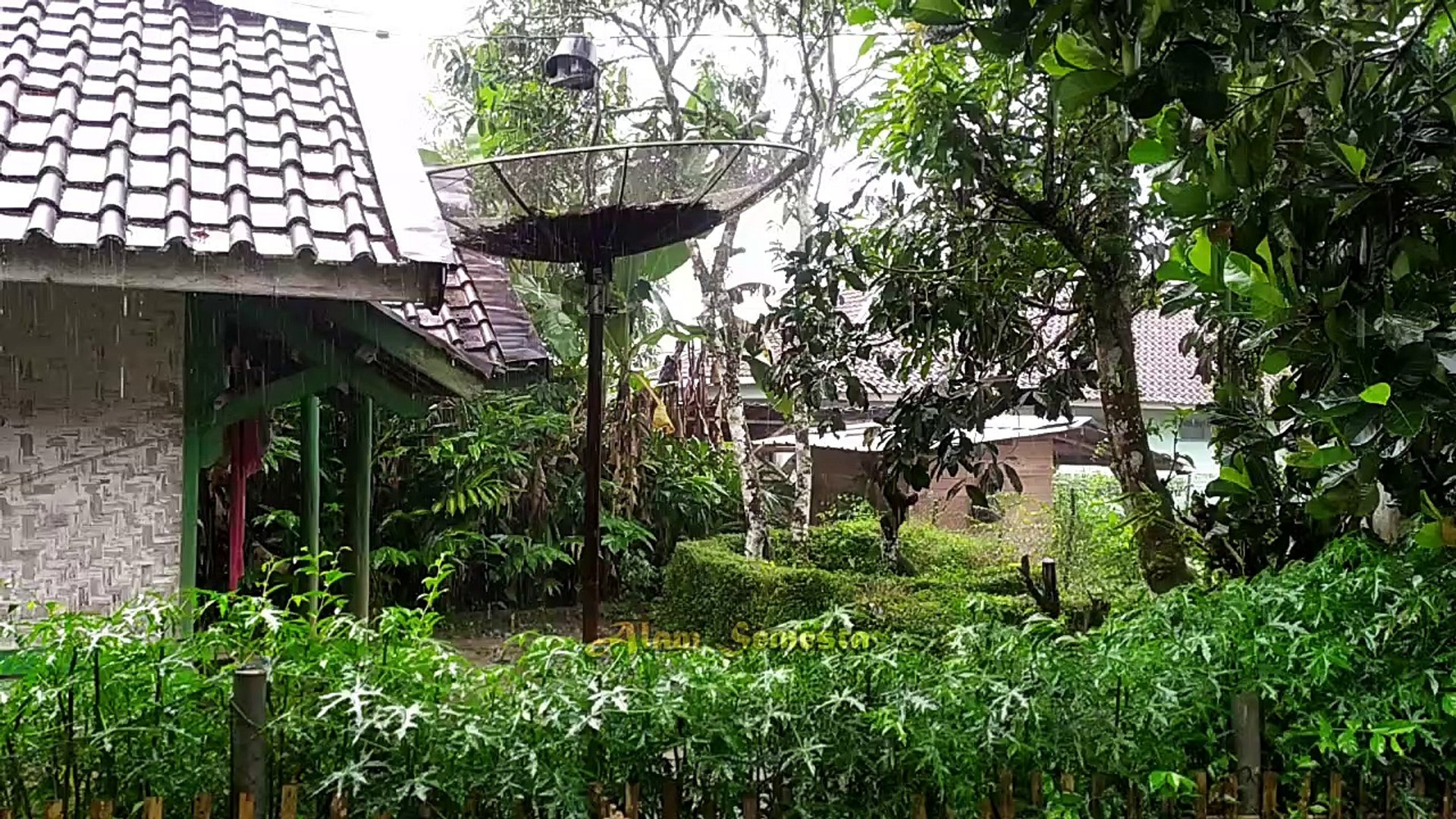 ⁣RELAKSASI SUARA HUJAN - Rain Sounds For Sleeping