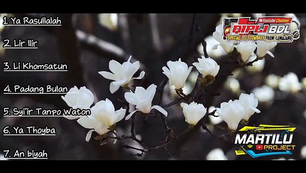DJ SHOLAWAT FULL ALBUM