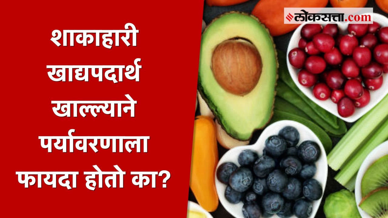 संपूर्ण जग शाकाहारी झाले तर याचा पर्यावरणावर कसा होईल परिणाम?