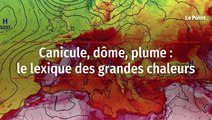 Canicule, dôme, plume : le lexique des grandes chaleurs