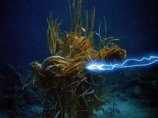 A Criatura em Viagem ao Fundo do Mar