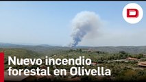 Declarado en Olivella (Barcelona) un nuevo incendio forestal