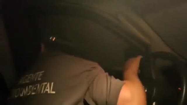 Casi 20 mil hectáreas de alto valor ecológico arrasadas en el incendio de sierra de la Culebra