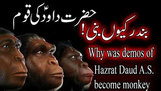 Daud A S  ki Ummat bandar kyun bani | Why did the ummah of Daud AS become monkey | Dawood| david