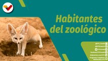 Punto Verde | Conozca las tres especies importantes que habitan en el Zoológico de Caricuao