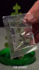 Science Experiment   #shorts #experiment #scienceexperiment