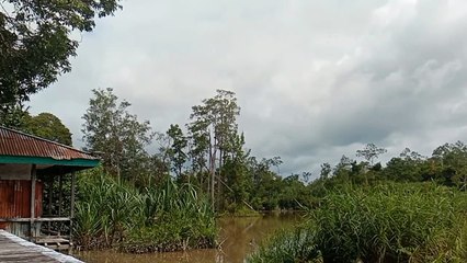 Nyata pulau ini bisa bergerak sendiri.