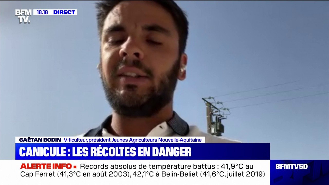 Canicule: les agriculteurs et viticulteurs "très inquiets pour l'avenir"