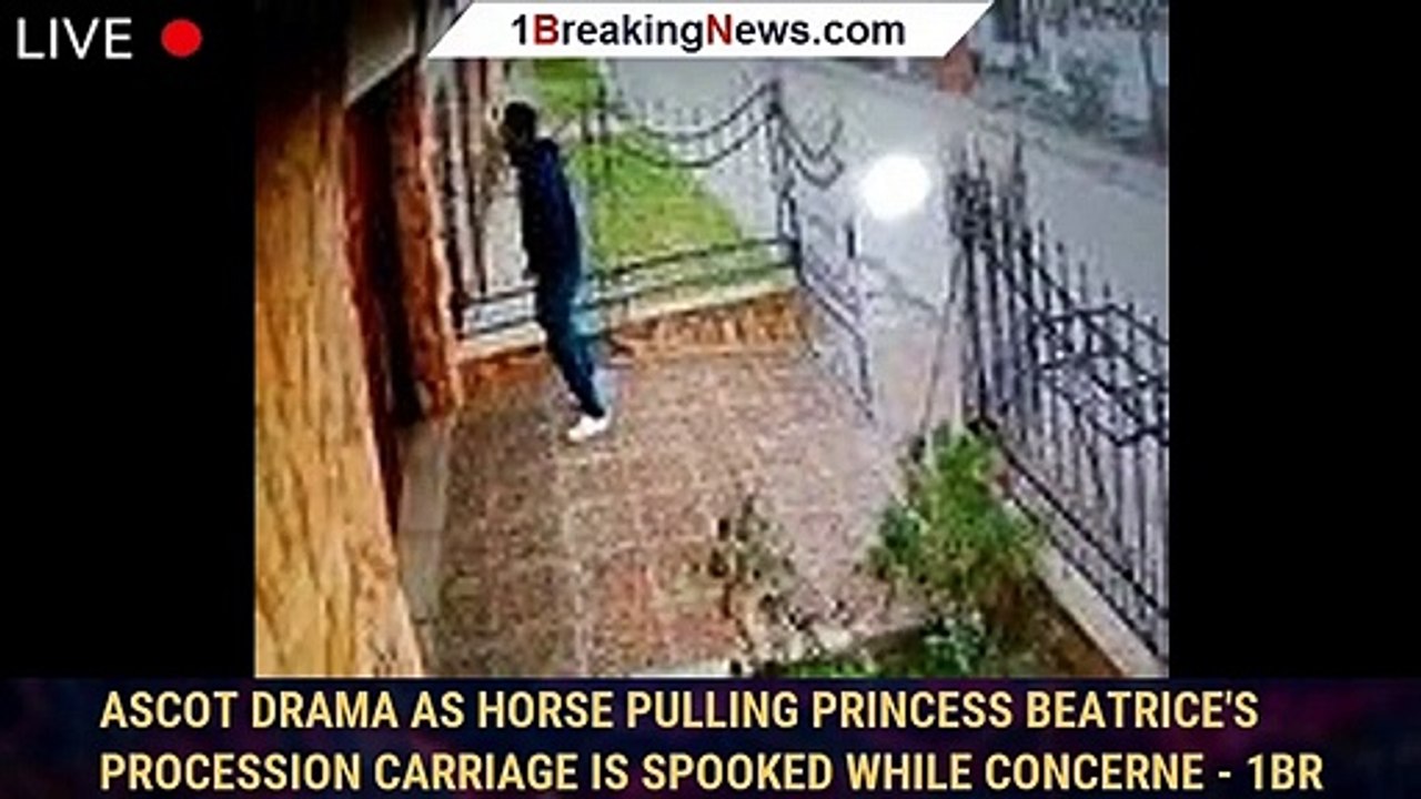 Ascot drama as horse pulling Princess Beatrice's procession carriage is