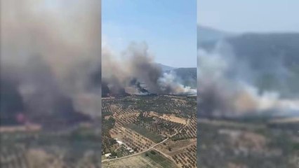 Foça'da At Çiftliği Yakınındaki Tarım Arazisi Yandı