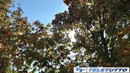 Video News - OZONO OLTRE LA SOGLIA
