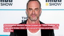 The Meaning Behind Christoper Meloni's Tattoos