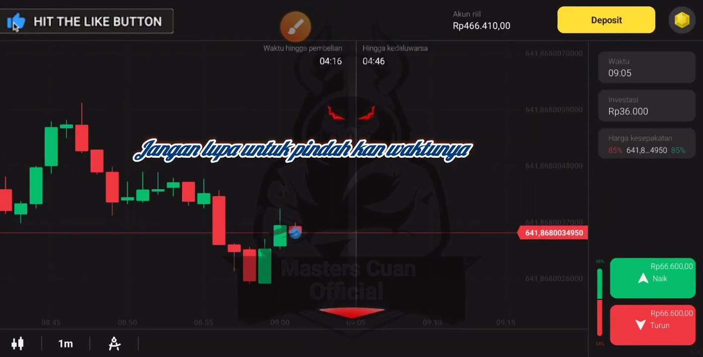 daily profit