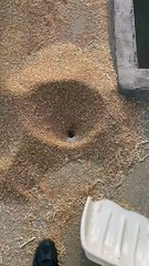 Smart Work Or Not ?! 