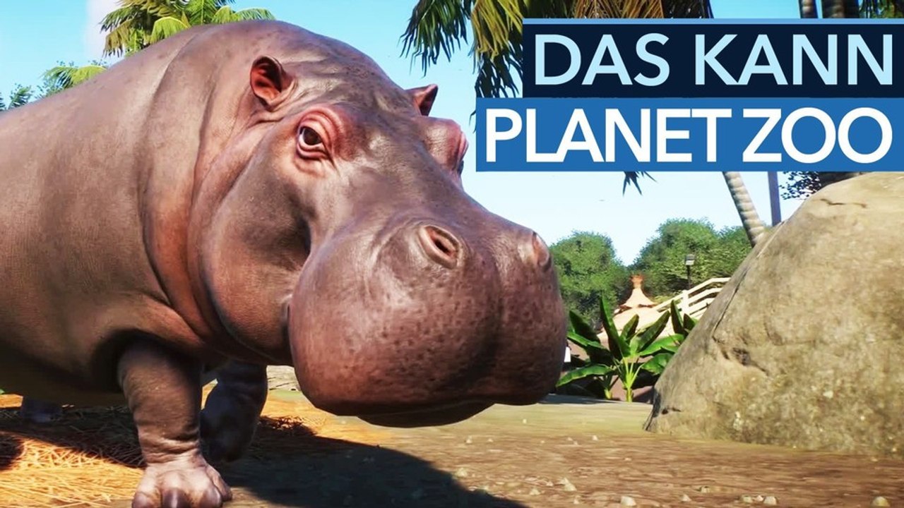 Planet Zoo - 11 wichtige Antworten zum Tierpark-Baukasten