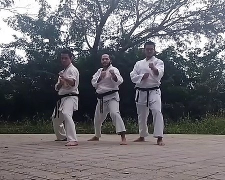 Kempo fighting work out