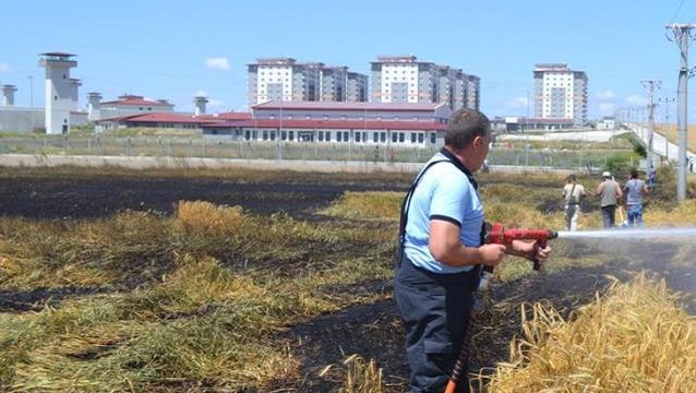 Dünya tahıl kriziyle mücadele ederken gelen habere bak! Çorlu'da sigara izmariti 50 dönüm buğdayı küle çevirdi