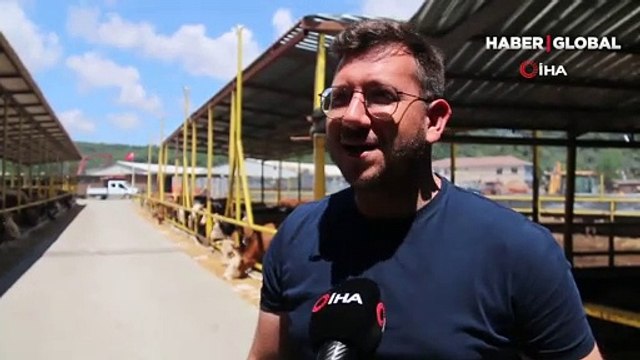 İstanbul’da kurbanlık alanlar kurulmaya başladı! 2 yıl sonra ilk kez yapılacak