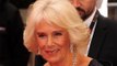 'Sometimes it’s like ships passing in the night': Camilla, Duchess of Cornwall admits it's 'not easy sometimes' to find time to sit down with Prince Charles
