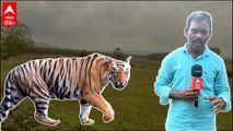 Tiger Wandering Places: శరభవరంలో పులి సంచరించిన ప్రాంతాల నుంచి Exclusive Reporting | ABP Desam