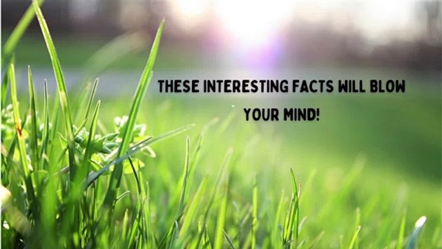 Did You Know #2 | Interesting Facts That Will Blow Your Mind | Amazing Facts | Random Facts