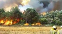 İspanya’da orman yangınları 50’den fazla bölgeye yayıldı