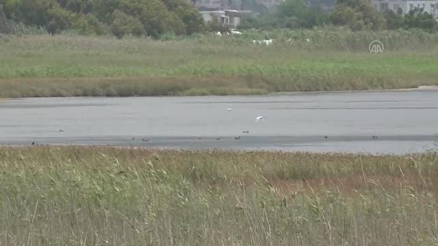 Sulak alanlarıyla çok sayıda kuş türüne ev sahipliği yapıyor