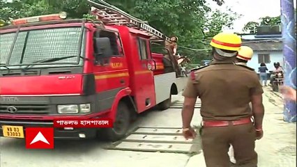 Pavlov : পাভলভ মানসিক হাসপাতালে গাছে উঠে পড়লেন রোগী !