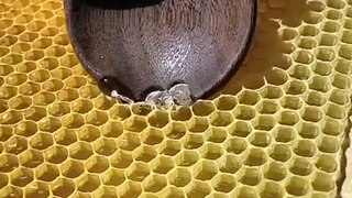 Best Oddly Satisfying Video for Stress Relief #Shorts