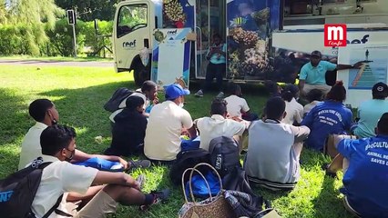 World Sea Turtle Day : Journée éducative pour les élèves de l’Atelier Joie de Vivre