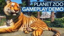 Planet Zoo - Vorschau-Video: Warum ist das Spiel nur auf PC möglich?