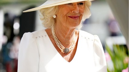 The duchess of cornwall revealed her secret addiction and opened up about her marriage in a tell-all interview
