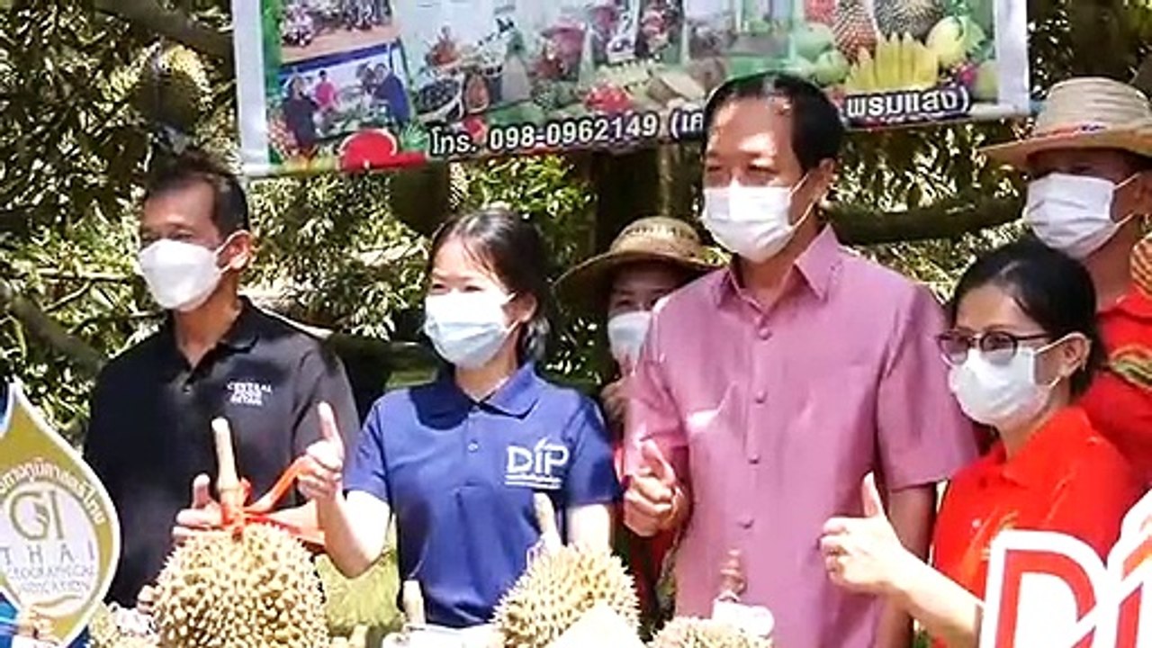 ศรีสะเกษ รองผู้ว่าอนุรัตน์ชวนชิมทุเรียนภูเขาไฟเผยงานเทศกาลทุเรียนภูเขาไฟสร้างรายได้ให้เกษตรกรผู้ปลูกทุเรียนภูเขาไฟแล้วกว่า 30 ล้านบาท
