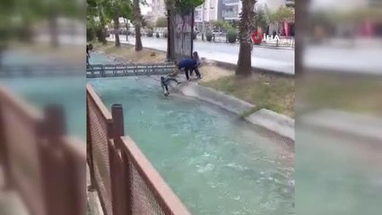 Suya düşen köpeği kurtarmak isteyen gençlerin zorlu mücadelesi