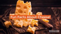 Fun Facts About Cheese!