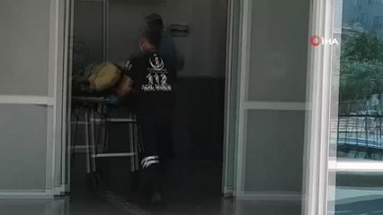 Meyve toplamak için çıktığı ağaçtan düşen kadın yaralandı
