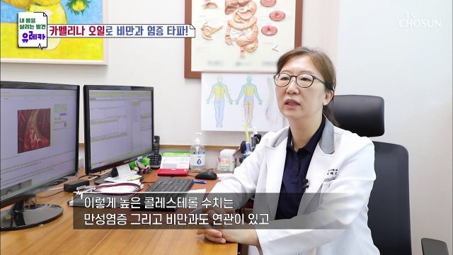 콜레스테롤 농도+심혈관 위험 개선에도 탁월한 효자템↗ TV CHOSUN 20220619 방송