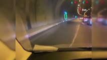 İstanbul’da kaçan kurbanlık boğa Cebeci Tüneli’ni birbirine kattı