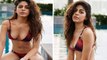 Alaya Furniture Wala Red Bikini Bold Look Fans Reaction Viral | Boldsky *Entertainment