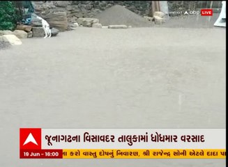 જૂનાગઢ: વિસાવદર તાલુકામાં દોઢ કલાકમાં બે ઇંચ વરસાદ