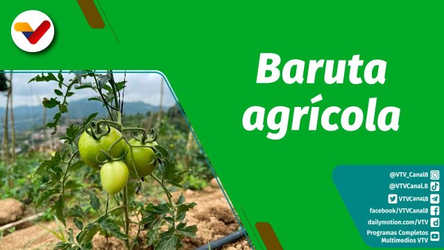 Cultivando Patria | Finca Paz y Amor dispone 3.5 hectáreas para la siembra de rubros agrícolas