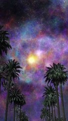 Manifest your dreams now!