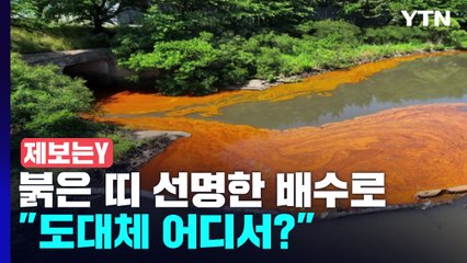 [제보는Y] 붉게 물든 국가산업단지 배수로..."도대체 어디서?" / YTN